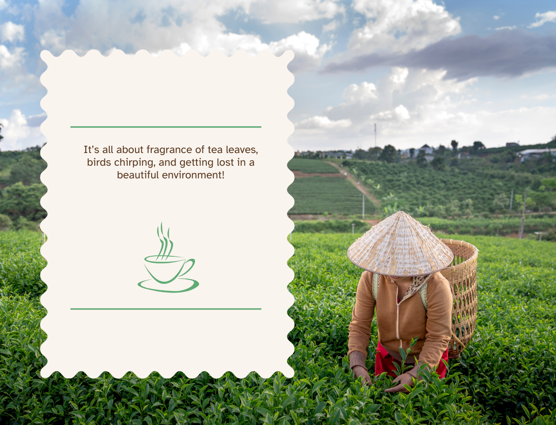 Chai ki patiyon ki mehek, chidiyon ki chahak, aur ek khoobsurat vatavaran mein kho jane ka hai yeh afsar! (1) Chai ki patiyon ki mehek, chidiyon ki chahak, aur ek khoobsurat vatavaran mein kho jane ka hai yeh afsar! (1)