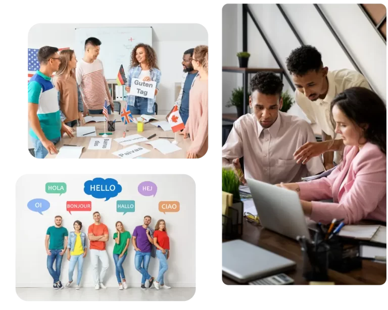 Translation Services
